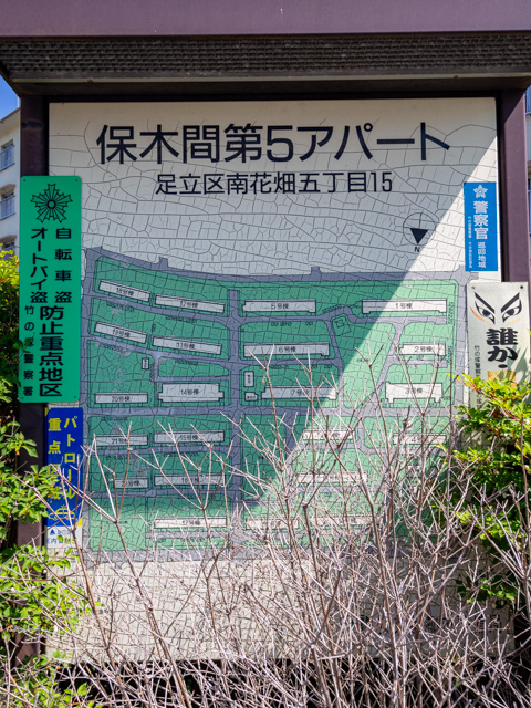 画像を別ウィンドウで表示します 画像