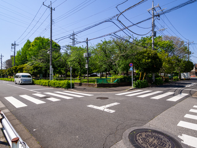 画像を別ウィンドウで表示します 画像