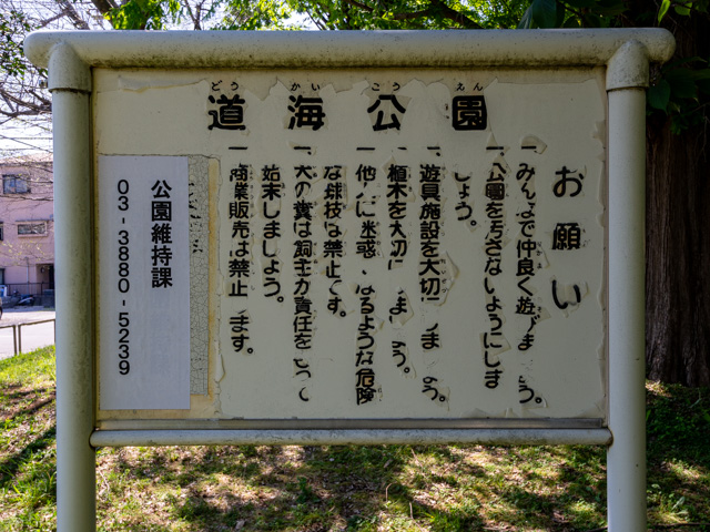 画像を別ウィンドウで表示します 画像