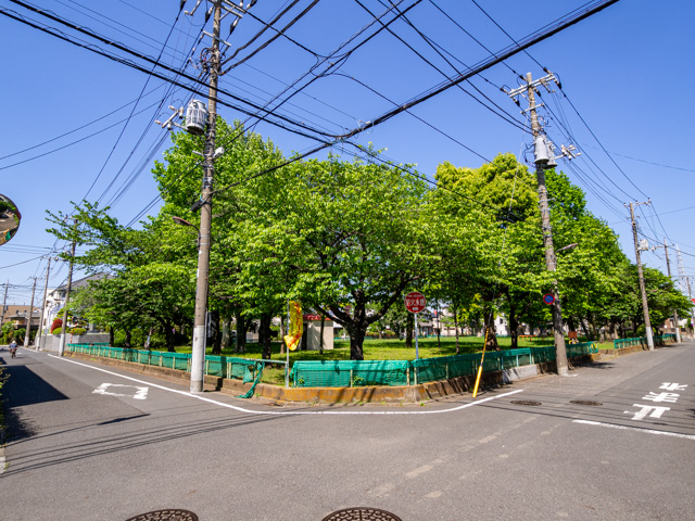 画像を別ウィンドウで表示します 画像