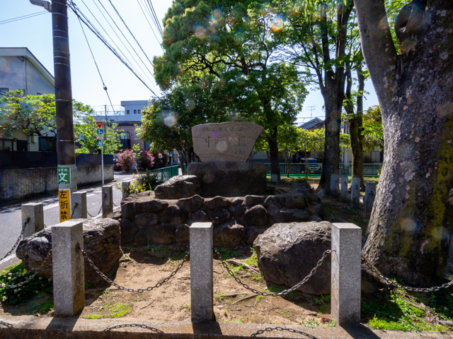 画像を別ウィンドウで表示します 画像