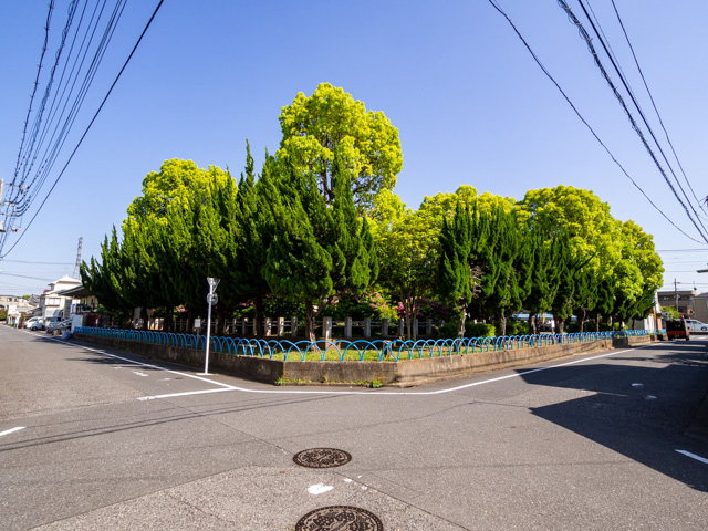 画像を別ウィンドウで表示します 画像