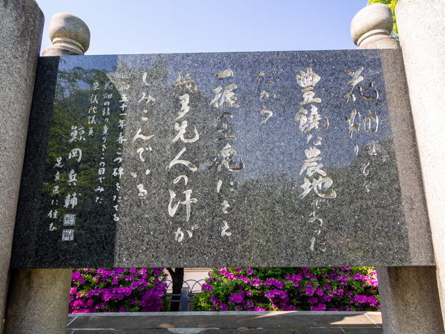 画像を別ウィンドウで表示します 画像
