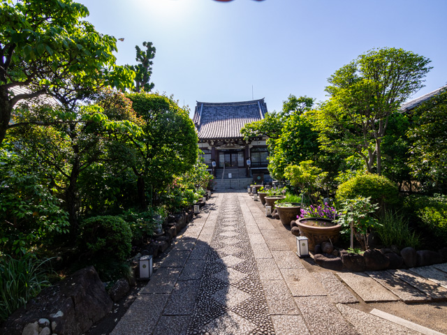 画像を別ウィンドウで表示します 画像