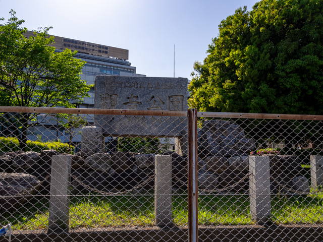 画像を別ウィンドウで表示します 画像