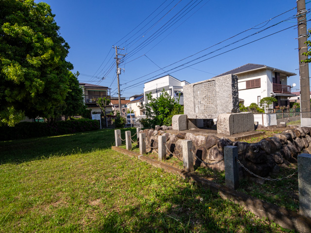 画像を別ウィンドウで表示します 画像