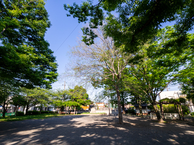 画像を別ウィンドウで表示します 画像