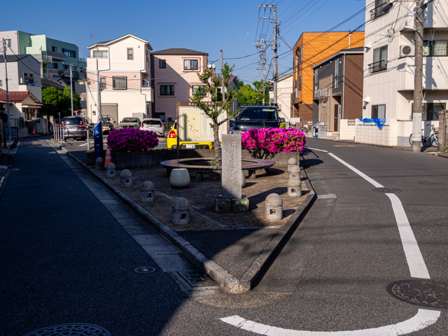 画像を別ウィンドウで表示します 画像
