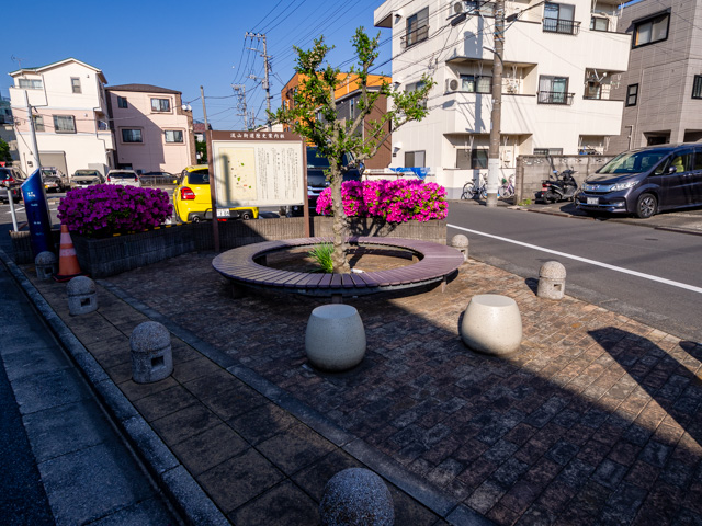 画像を別ウィンドウで表示します 画像