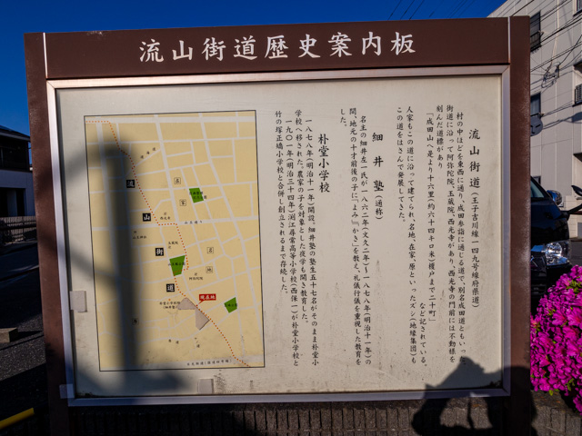 画像を別ウィンドウで表示します 画像