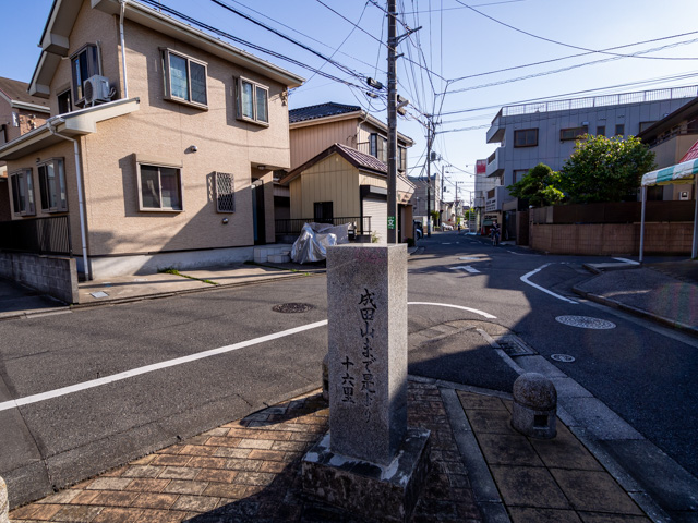 画像を別ウィンドウで表示します 画像