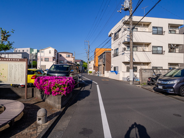 画像を別ウィンドウで表示します 画像