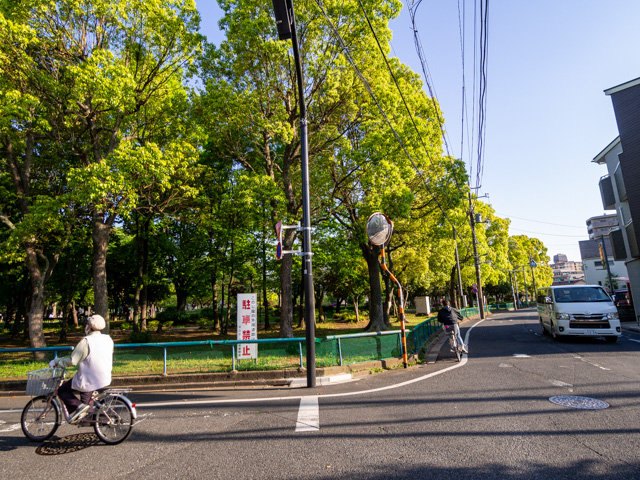 画像を別ウィンドウで表示します 画像