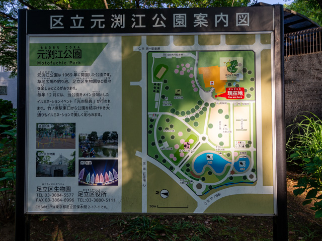 画像を別ウィンドウで表示します 画像