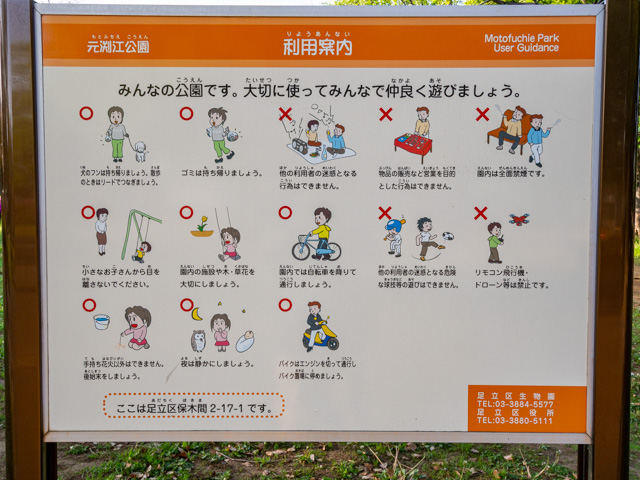 画像を別ウィンドウで表示します 画像