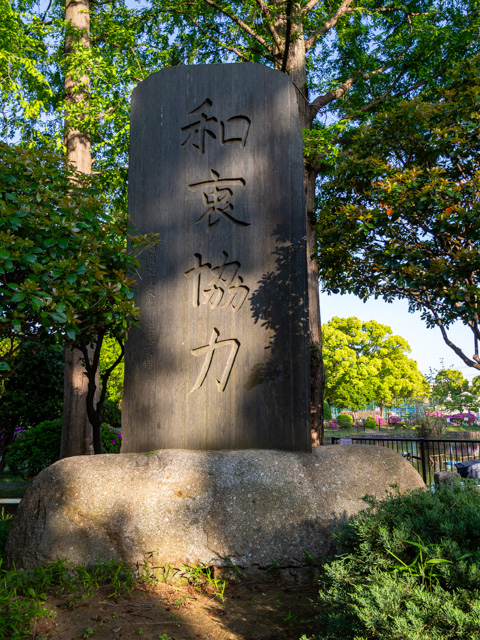 画像を別ウィンドウで表示します 画像