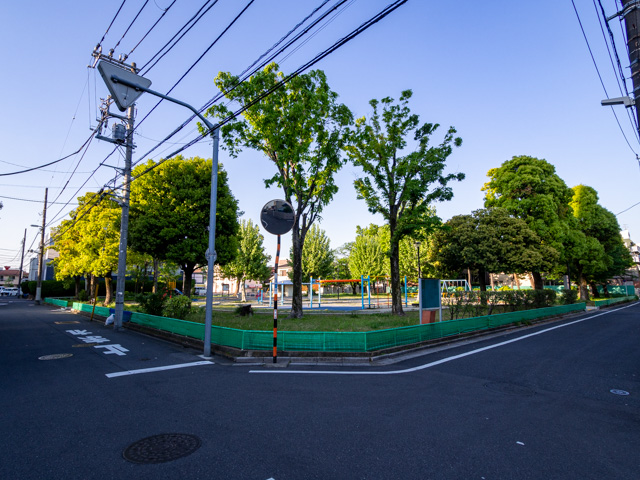 画像を別ウィンドウで表示します 画像