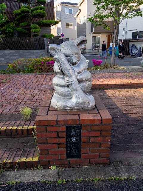 画像を別ウィンドウで表示します 画像