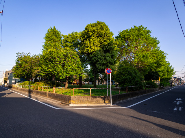 画像を別ウィンドウで表示します 画像