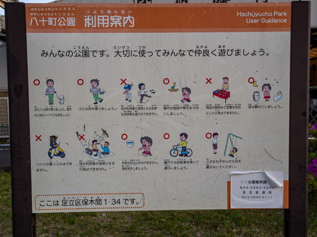 画像を別ウィンドウで表示します 画像