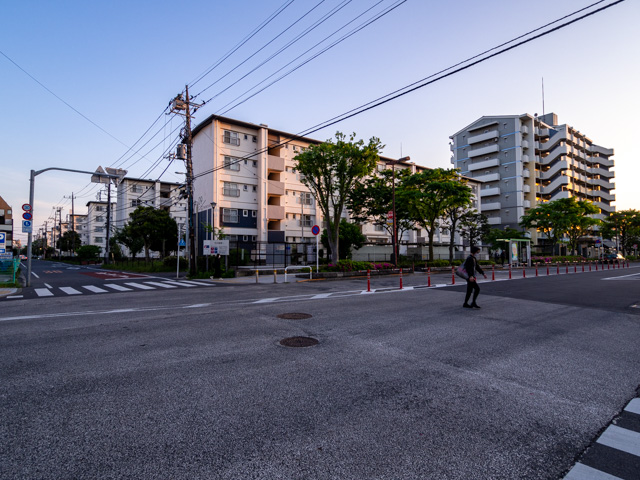画像を別ウィンドウで表示します 画像