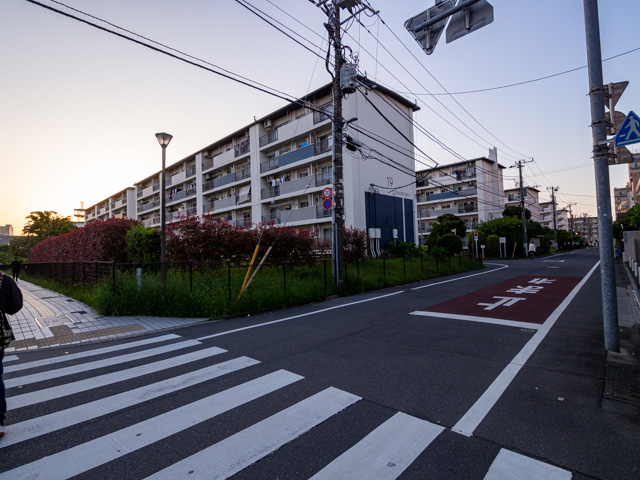 画像を別ウィンドウで表示します 画像