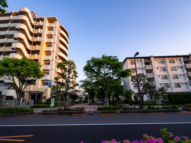 画像を別ウィンドウで表示します 画像