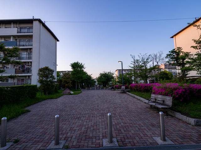 画像を別ウィンドウで表示します 画像