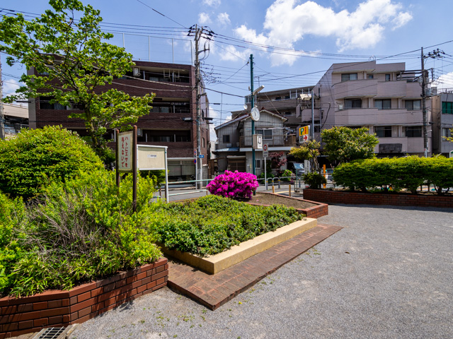 画像を別ウィンドウで表示します 画像