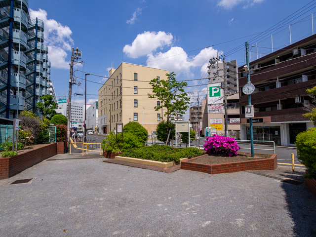 画像を別ウィンドウで表示します 画像