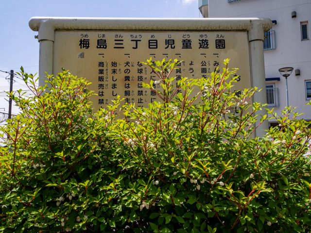 画像を別ウィンドウで表示します 画像