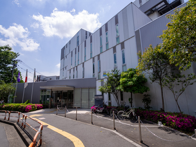 画像を別ウィンドウで表示します 画像