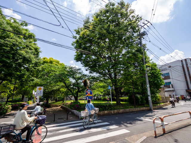 画像を別ウィンドウで表示します 画像