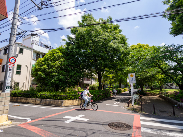 画像を別ウィンドウで表示します 画像