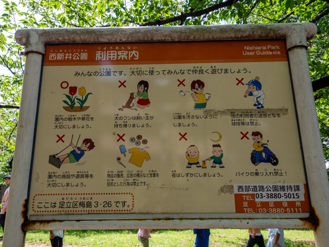 画像を別ウィンドウで表示します 画像