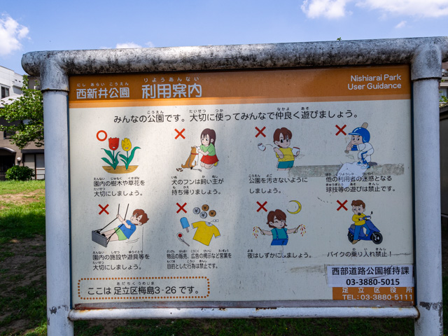 画像を別ウィンドウで表示します 画像