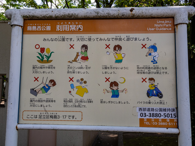 画像を別ウィンドウで表示します 画像