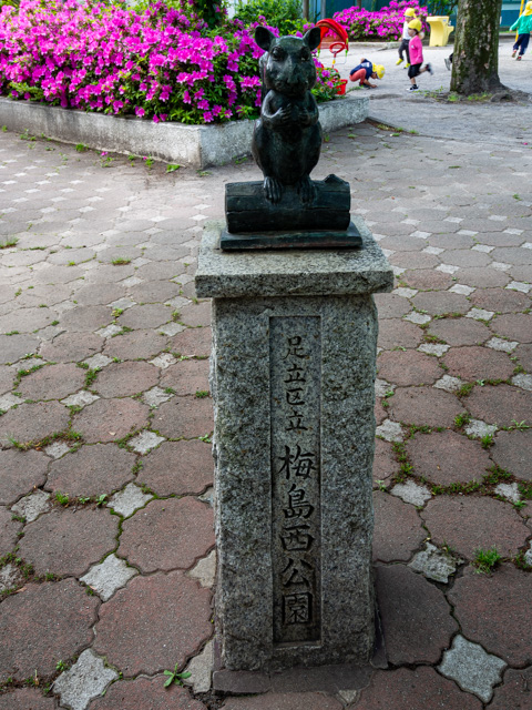 画像を別ウィンドウで表示します 画像