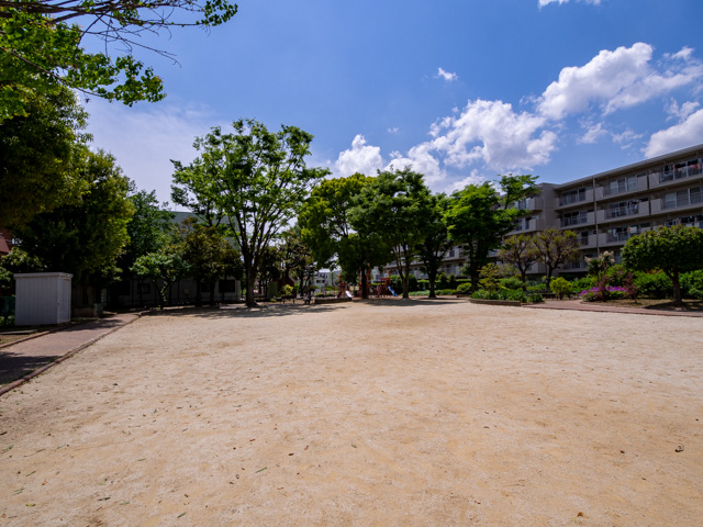 画像を別ウィンドウで表示します 画像