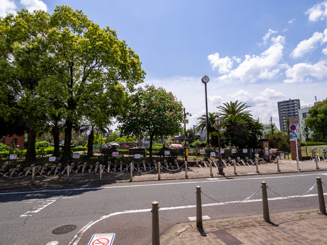 画像を別ウィンドウで表示します 画像