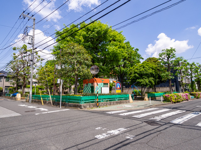 画像を別ウィンドウで表示します 画像