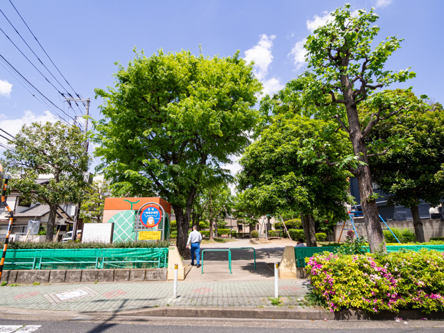画像を別ウィンドウで表示します 画像