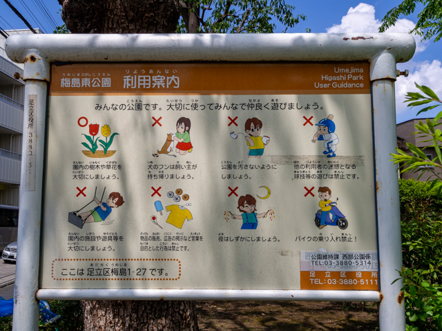 画像を別ウィンドウで表示します 画像