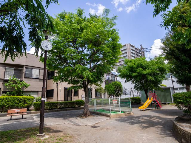 画像を別ウィンドウで表示します 画像