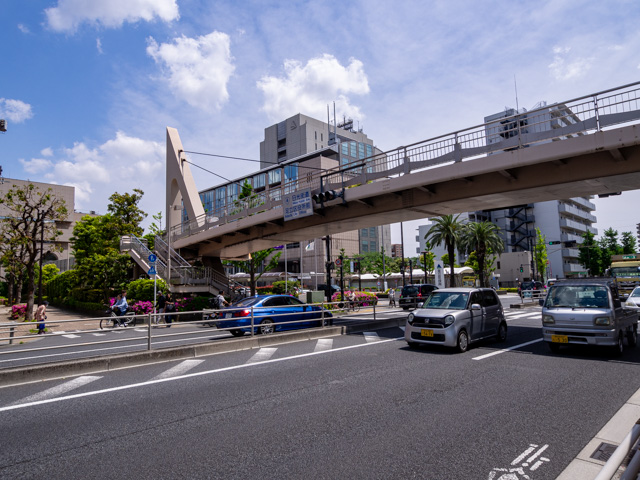 画像を別ウィンドウで表示します 画像