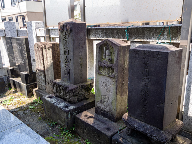 画像を別ウィンドウで表示します 画像