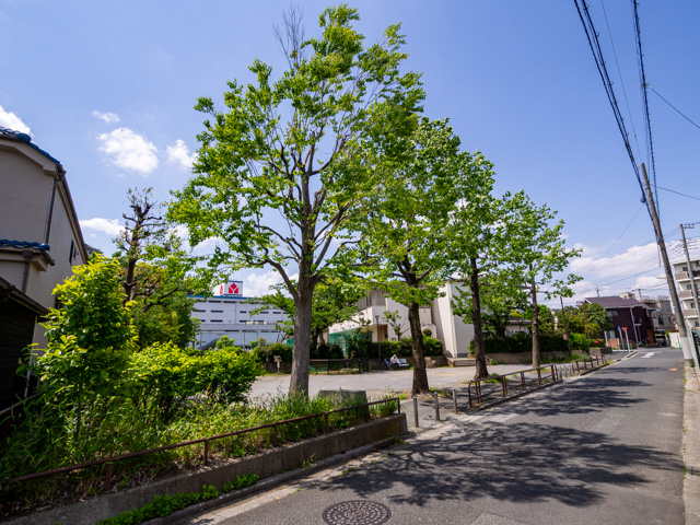 画像を別ウィンドウで表示します 画像