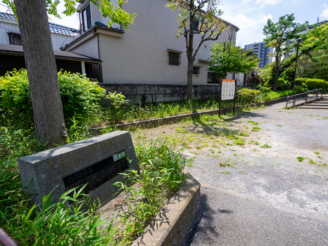 画像を別ウィンドウで表示します 画像