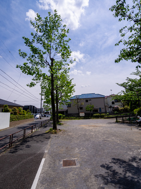 画像を別ウィンドウで表示します 画像