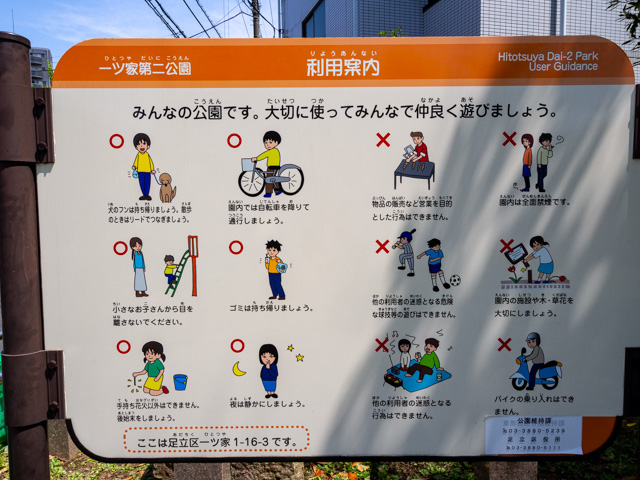 画像を別ウィンドウで表示します 画像